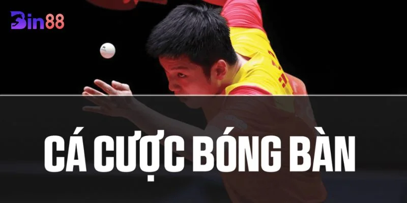 Luật Cá Cược Bóng Bàn: Kiến Thức Nhập Môn Cá Độ BIN88