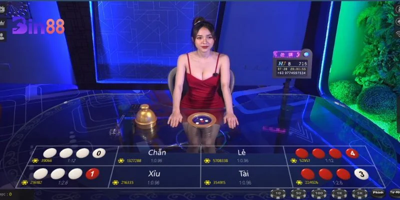 Cầu chẵn lẻ trong xóc đĩa là dạng thức cầu rất phổ biến.