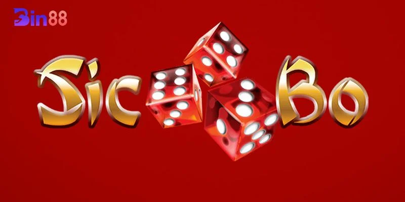Sicbo Là Gì? Nhập Môn Sicbo BIN88 Làm Gì Để Cược Tự Tin